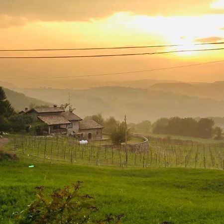 Fattoria Branciana Bed & Breakfast Rossena Exterior photo