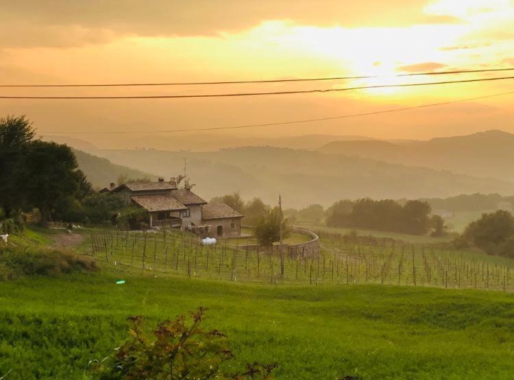 Fattoria Branciana Bed & Breakfast Rossena Exterior photo